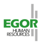 EGOR Managementberatung GmbH