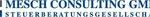MESCH CONSULTING GMBH